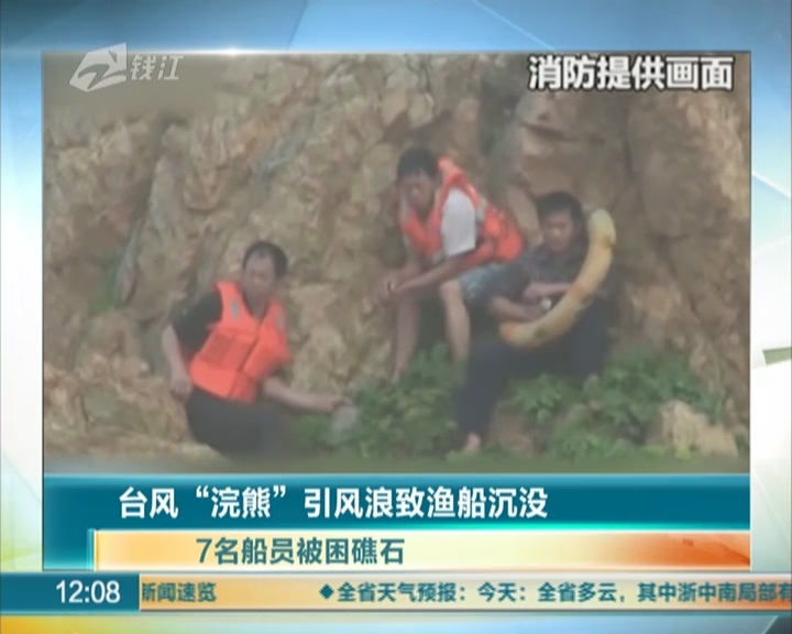 圆尾鲎图片