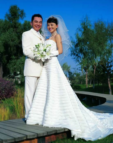 李湘离婚后开公司力捧王岳伦2004年7月,李湘向媒体透露,她要结婚了