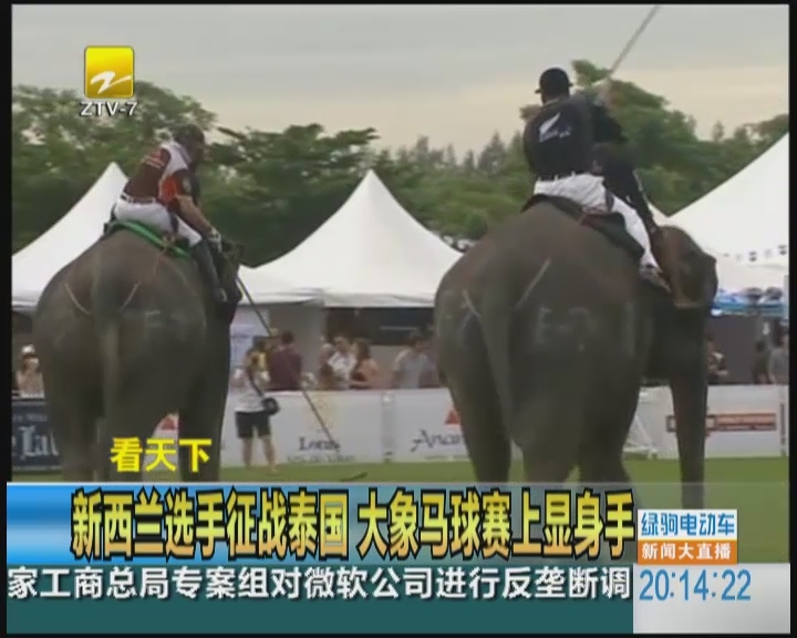 泰国大象马球赛显身手