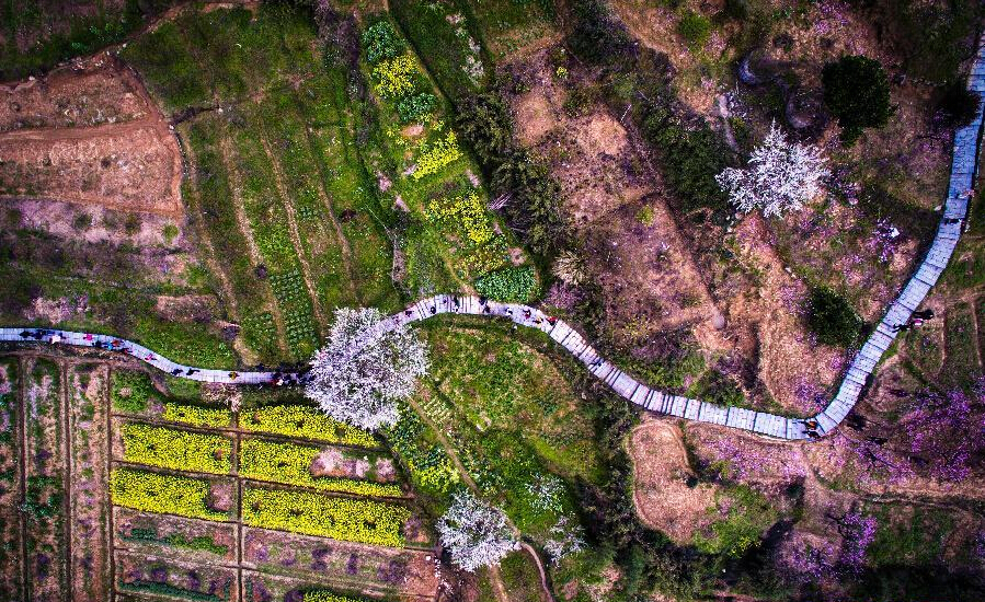 阳山村人口_山村风景(3)