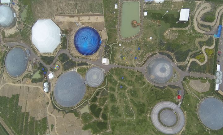 天台花漾星球太空农场的"外星奇景"