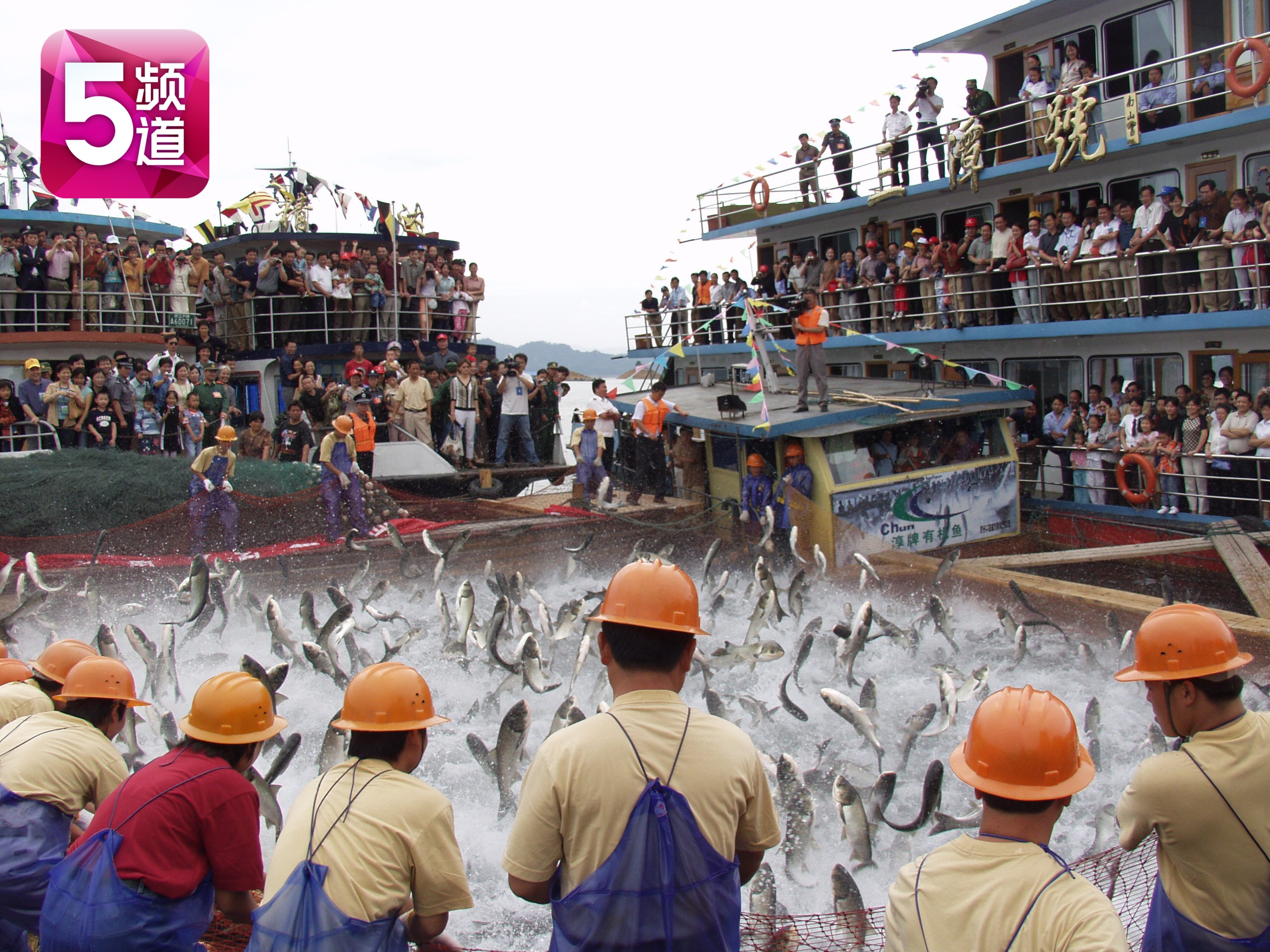 正在直播:千岛湖鱼跃龙门盛景 联手浙江影视