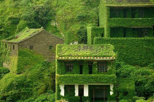 无人岛似绿野仙踪 岛民欲100万卖房