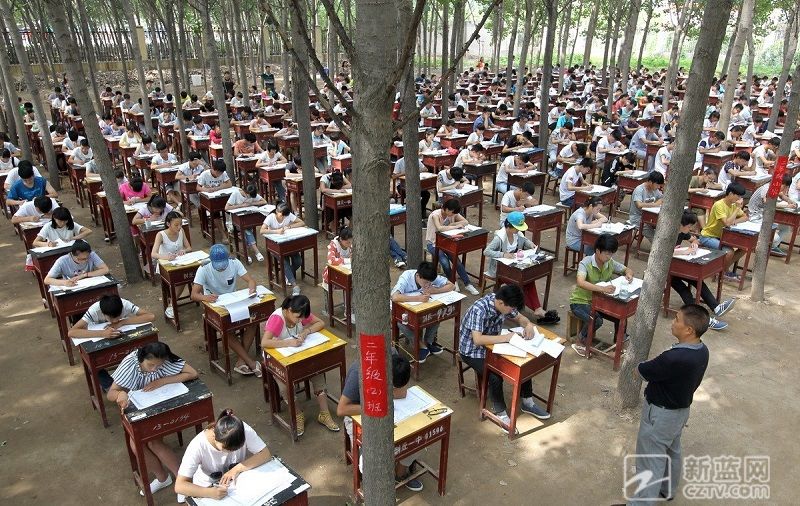 河南:树林里的高中期末考试 清风阵阵中答题无