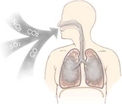 两女子空调房内吃烤鱼身亡 疑一氧化碳中毒
