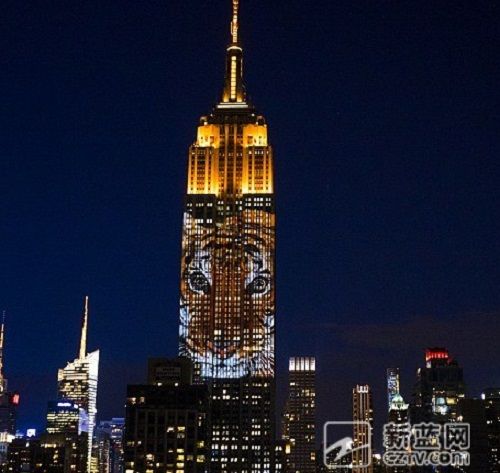 帝国大厦把濒危动物请上楼 381米尽是无辜的