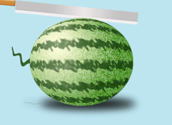 17世纪的西瓜长啥样 意大利画作揭400年西瓜进化史