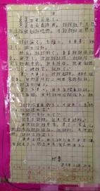 发现作文600字