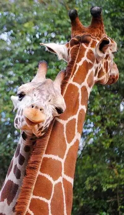 七夕日记:情侣们看到会得意 单身汪慎点担心你