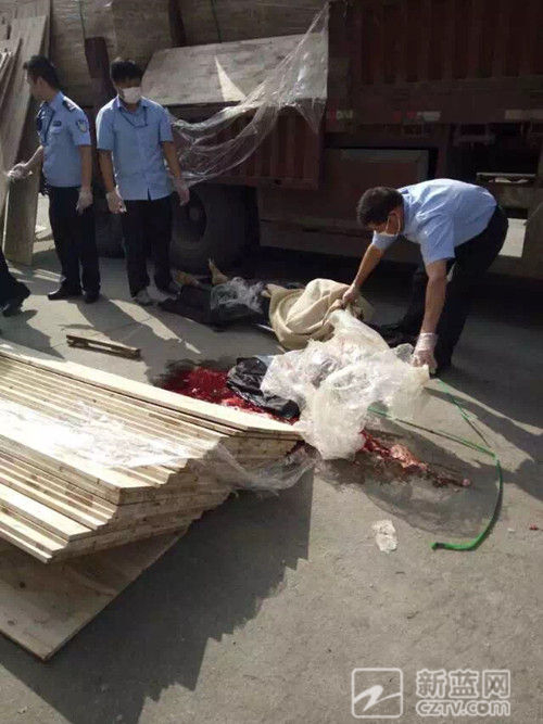 杭州一司机被倾泻的3000多斤木板压死 血肉模糊