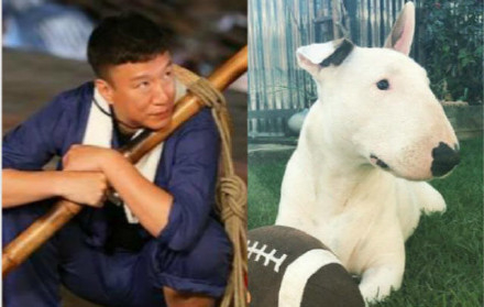 涨姿势:动物界的唐嫣,李易峰,孙红雷来袭
