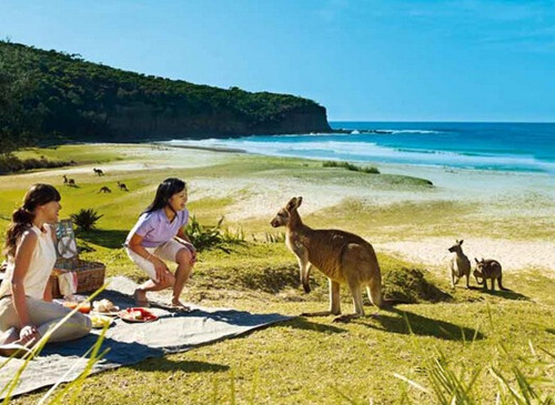 中国游客在澳洲半年消费300亿元 贡献当地6%