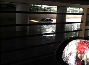 浙江经视·YY直播间整档回放