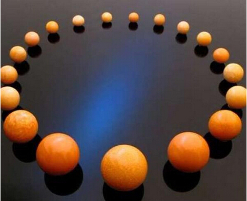 200元椰子螺吐出稀世珍宝美乐珠 海产店老板娘