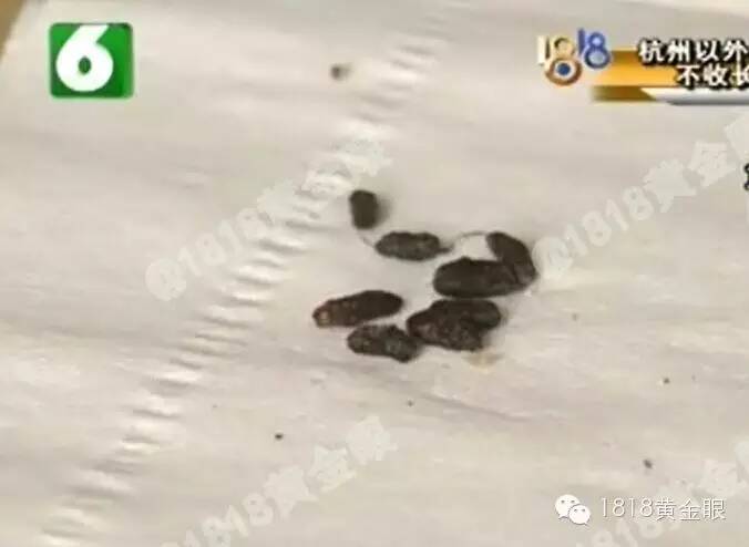 "老鼠屎"和"黑胡椒"傻傻分不清 跑遍全杭州都鉴别不了