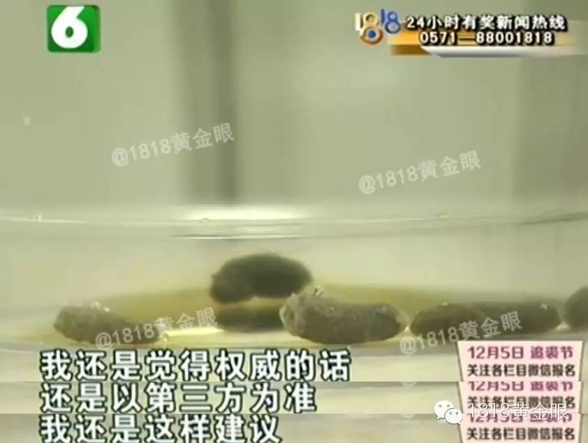 网友调侃如何分辨老鼠屎、黑胡椒成年度难题: