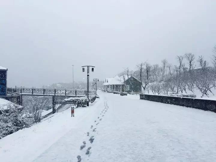 杭州今冬第一场雪让人心醉!你那里下雪了么(最全雪景)