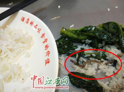 号称“酒店品味，食堂消费”的南昌大学食堂，却吃出了手指长的蚯蚓