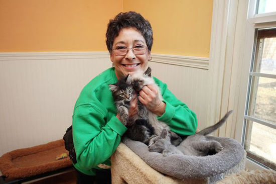 丽尼说，24年来，和她一起生活过的猫超过2.8万只。（网页截图）
