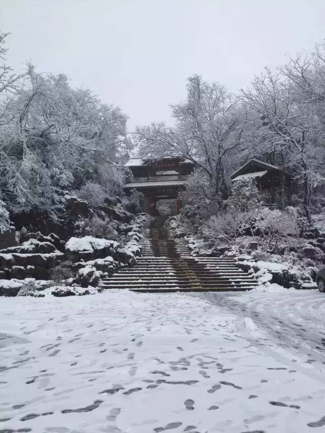 大雪纷飞中哪里的雪景最美最好看?五朵金花带你去看雪