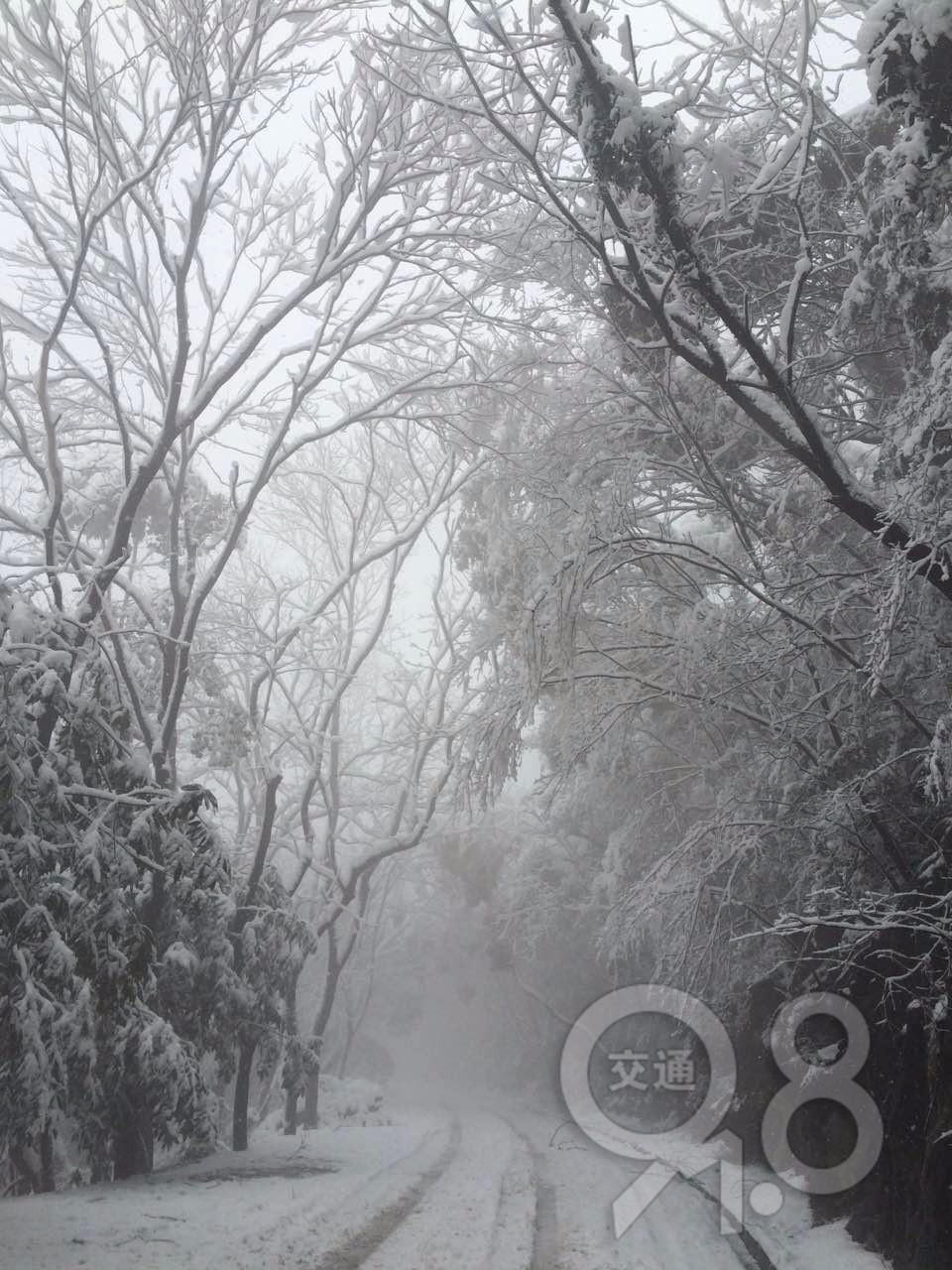 山上的雪越下越大歌名 35abc8a29f5203a3fcfe8ea5526fbdf5.jpg