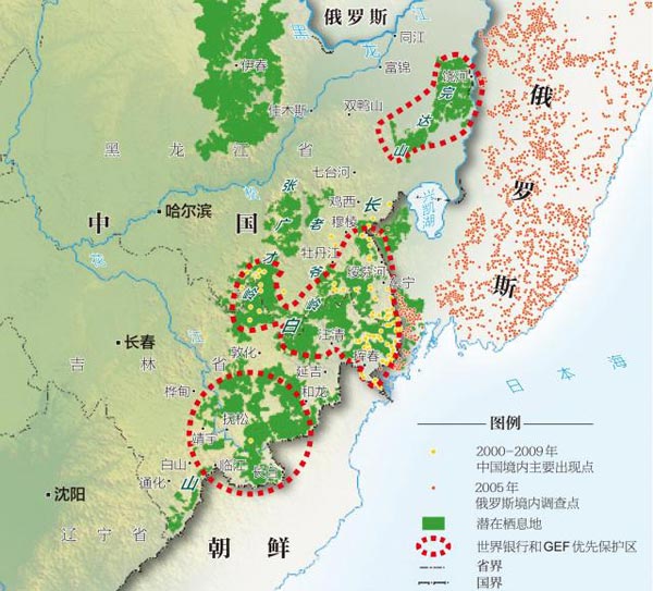 "虎豹种群未来生存发展的唯一途径,就是向西进入中国东北内陆的广袤图片