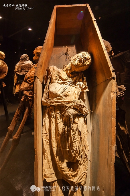 探访让人毛骨悚然的瓜纳华托干尸博物馆