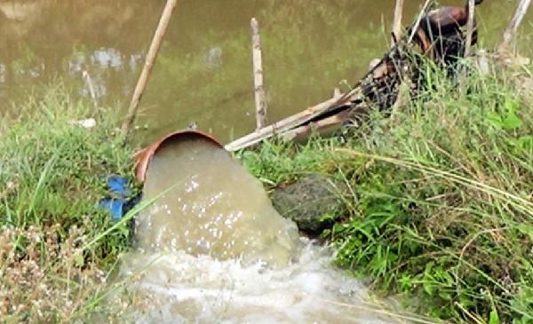 四角龙川地区的百姓正抓紧时间用水泵抽水灌溉农田。（图片：越南媒体）