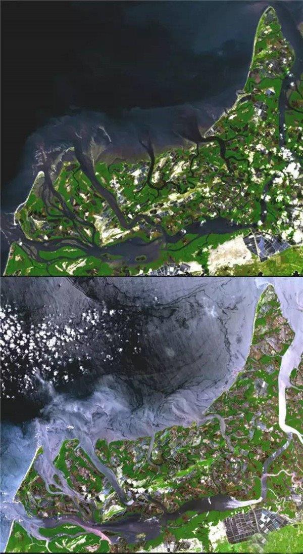 厄瓜多尔湿地转化成虾养殖场前后大变样，上图摄于1991年，下图摄于2001年。