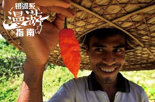 漫游指南|印度人比中国人还能吃辣？