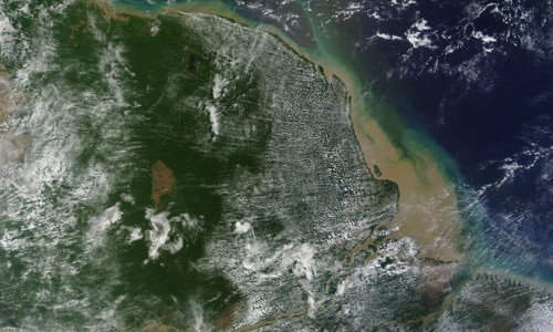 亚马逊河口发现9300平方公里珊瑚礁科学家称奇