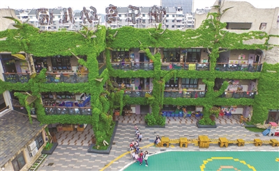 萧山区快乐鸟幼儿园，教学楼外布满爬山虎，看上去就像一座巨大的绿房子。 记者 陈中秋 摄