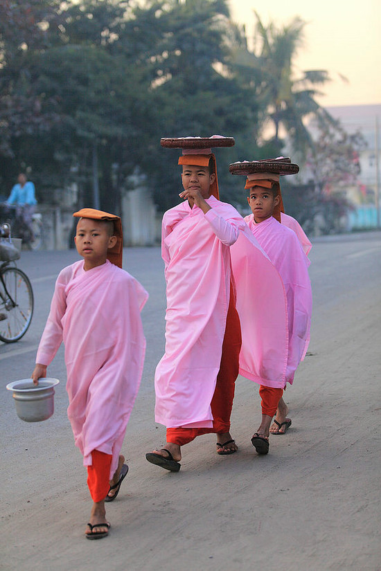 缅甸尼姑 红粉外衣背后不为人知的故事