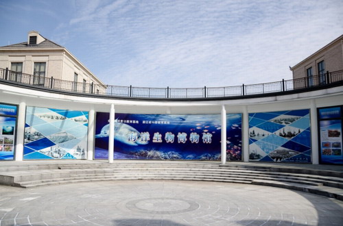 浙海大海洋生物博物馆里的标本"长"出了霉斑