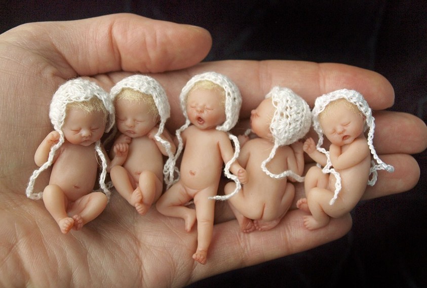 加拿大女艺术家巧手制作"拇指婴儿"