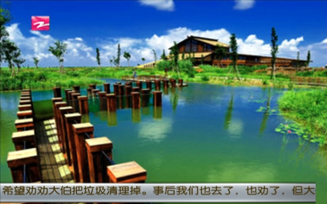 杭州湾湿地开放观鸟
