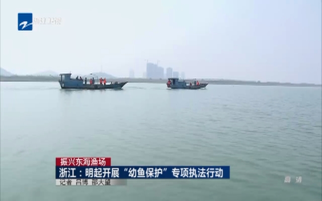 振兴东海渔场：浙江——明起开展“幼鱼保护”专项执法行动