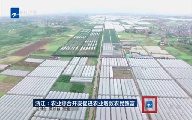 浙江：农村综合开发促进农业增效农民致富