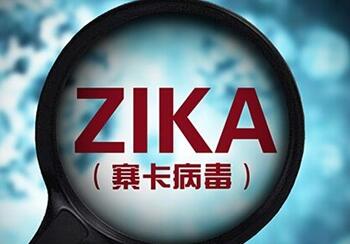 中国科学家揭示寨卡病毒解旋酶晶体结构