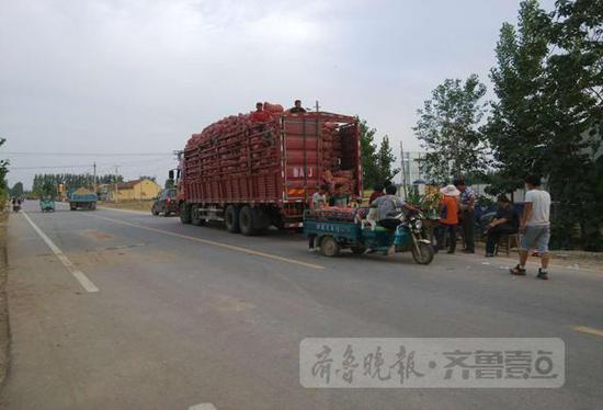 在商河县白桥镇亓家官庄村，不少大车停在村头收大蒜。