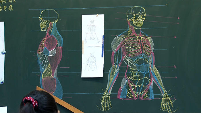台湾男教师板书逆天 人体骨骼图堪称完美