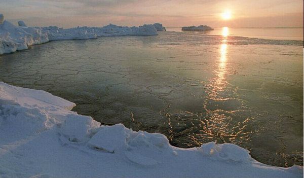 北极在今年可能就会无冰 近十万年来首次(图)