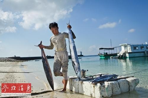 韩媒：中国渔船非法捕捞已十多年 韩渔民损失重