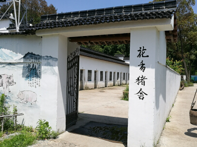 台州仙居:村村建设仙猪公寓实施人畜分离