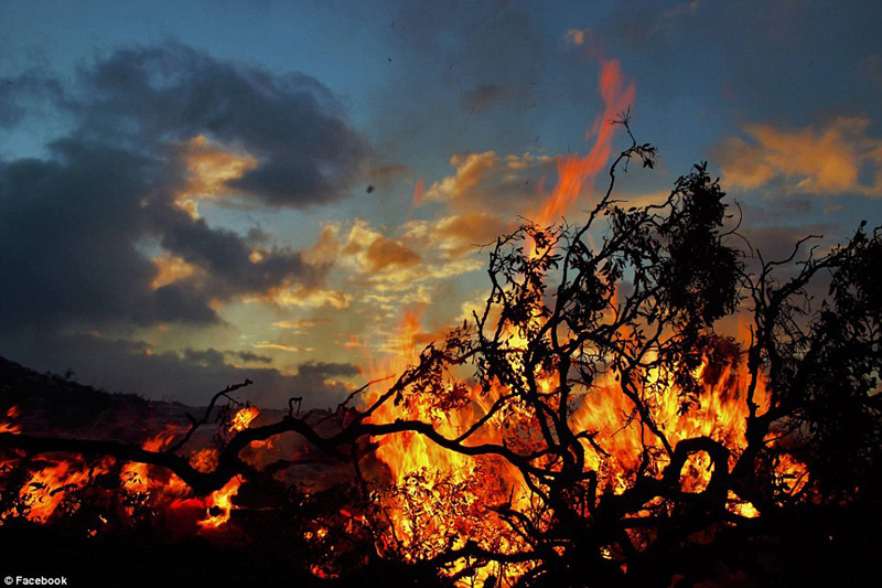 摄影师身处火山中拍熔岩烧毁树木瞬间