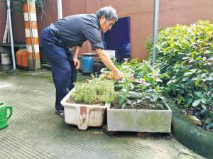 宁波有位“花爷爷” 10多年送给邻居5000多盆花