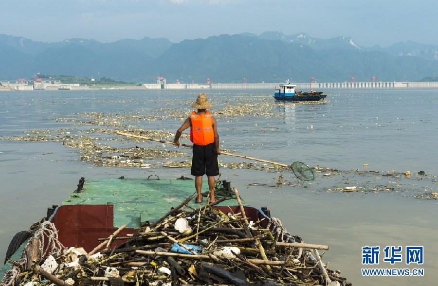 三峡水库现大量漂浮垃圾 工人冒酷暑清污
