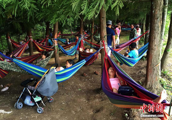 30日，重庆持续高温，该市石柱黄水镇迎来游客避暑高峰。图为游客们睡在吊床上享受森林带来的凉爽。