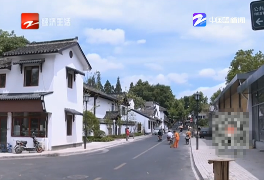 凤院村总人口(3)