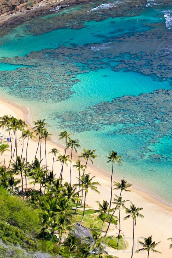   拥抱生活享受夏威夷的绝美风光